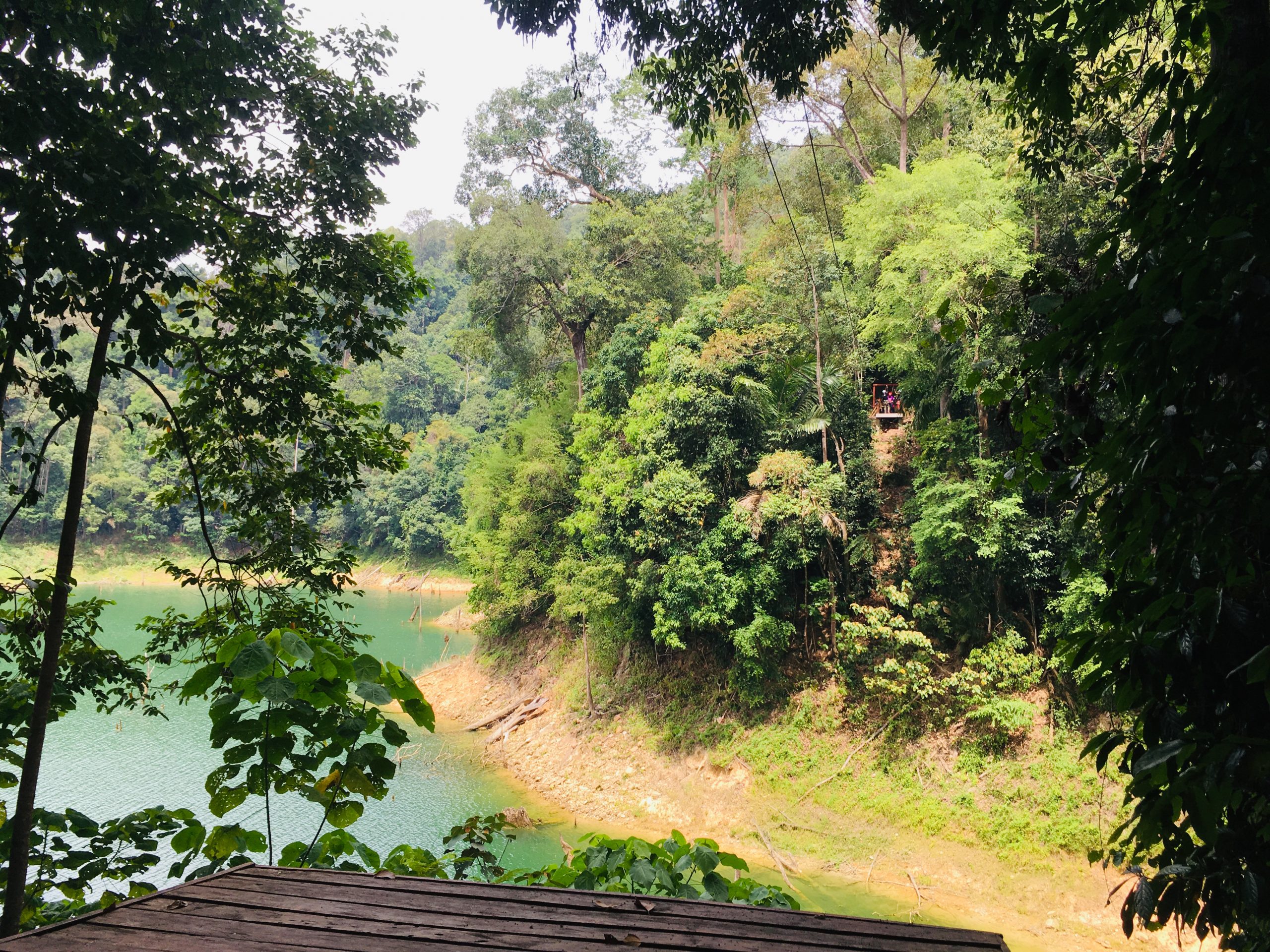 Rompin Rainforest Escapade – Your Guided Escape to Rompin State Park’s ...